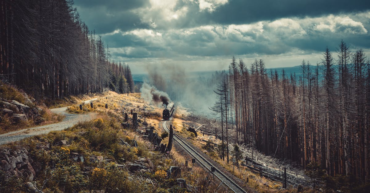 Assurance voyage en train : protégez-vous lors de vos voyages en train avec une assurance voyage adaptée à vos besoins.