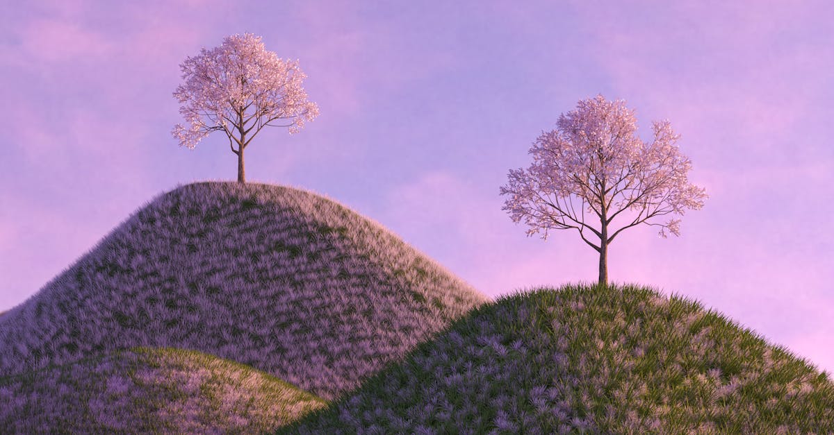 découvrez les meilleures destinations de voyage à travers le monde. explorez des paysages à couper le souffle, des cultures fascinantes et des expériences inoubliables qui vous attendent. que vous soyez en quête d'aventure, de détente ou d'évasion, trouvez votre prochaine destination de rêve dès aujourd'hui.